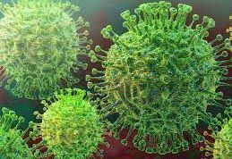 COVID-19 in Russia COVID-19 in Russia