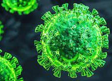 COVID-19 in the USA COVID-19 in the USA