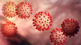 FAQ Regarding COVID-19 FAQ Regarding COVID-19