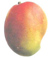 National Fruit of India National Fruit of India