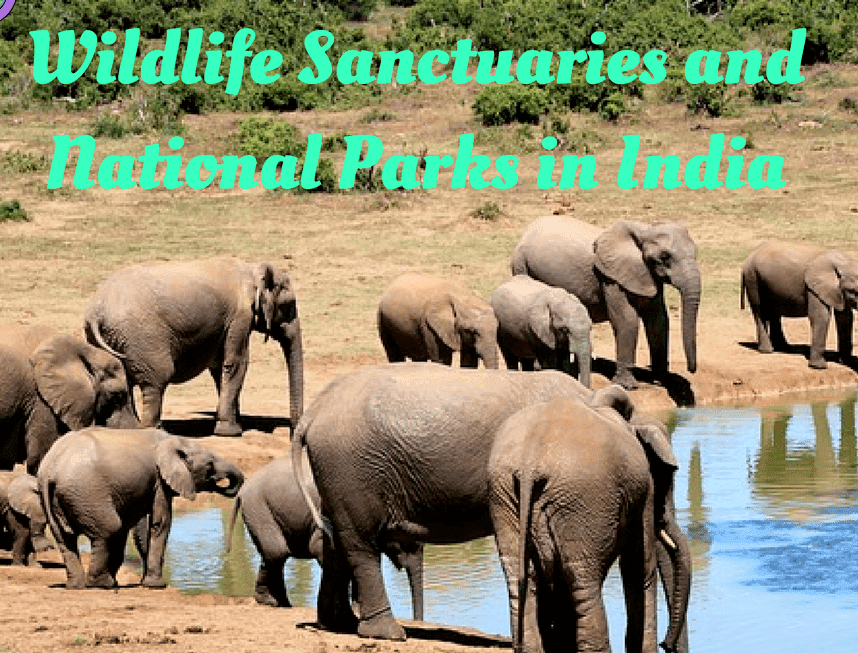 National Parks and Wildlife Sanctuaries of India National Parks and Wildlife Sanctuaries of India