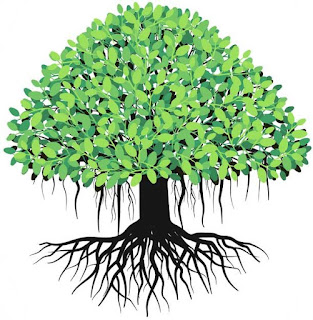 National Tree of India National Tree of India