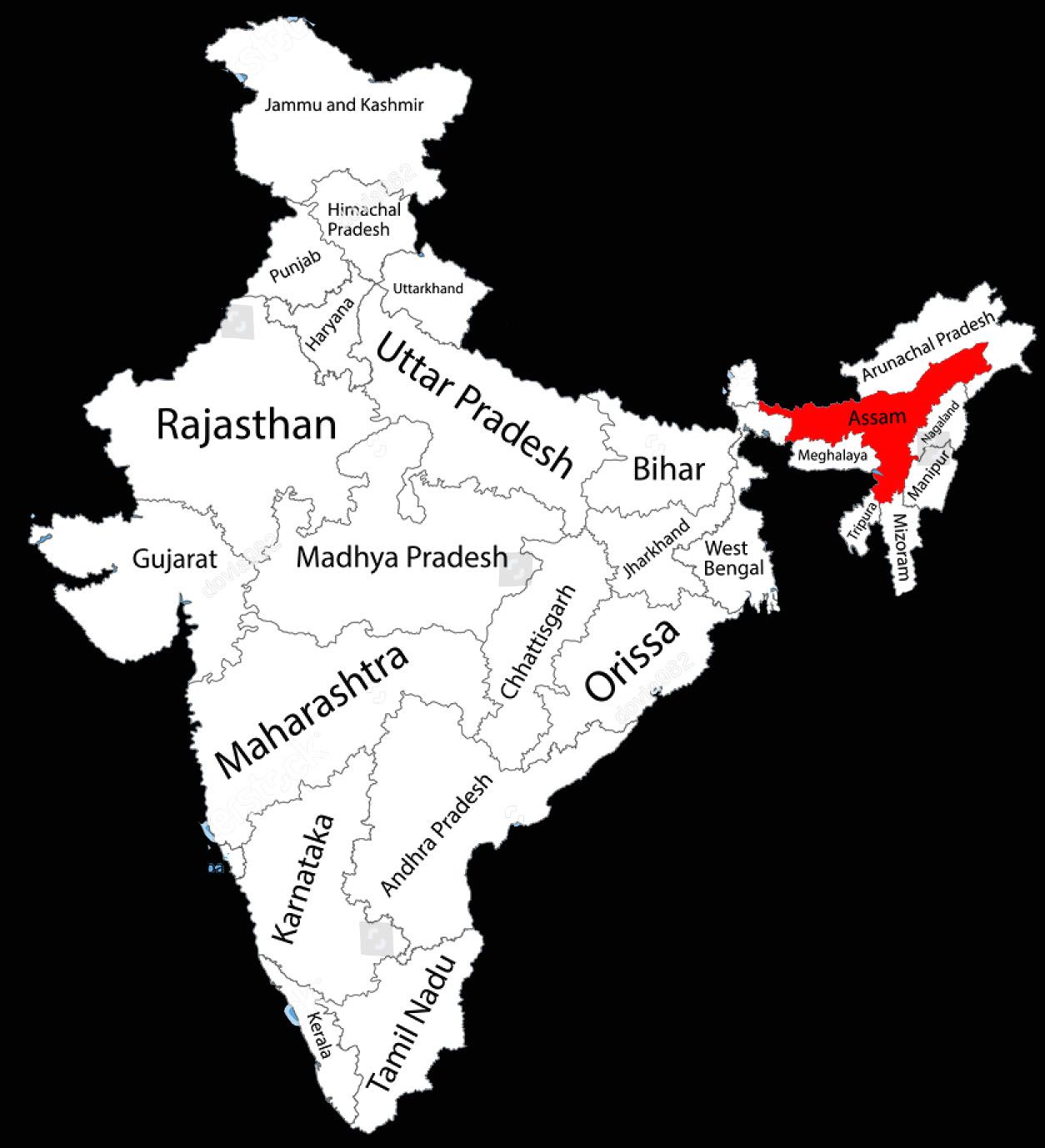 State Legislatures and Representation in Parliament State Legislatures and Representation in Parliament