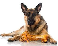 কুকুৰ । অমূল্য বৰুৱা 1 কুকুৰ । অমূল্য বৰুৱা