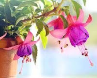 বনে যদি ফুটল কুসুম 1 বনে যদি ফুটল কুসুম