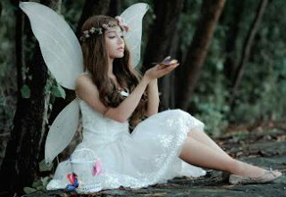 বাজফীড কুইজ বাজফীড কুইজ