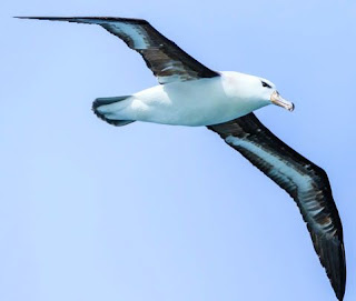 বিশ্বের বৃহত্তম-কুইজ বিশ্বের বৃহত্তম-কুইজ