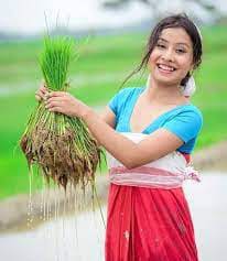 ৰোৱনীজনী তোৰ বিজন | ইছমাইল হোছেইন ৰোৱনীজনী তোৰ বিজন