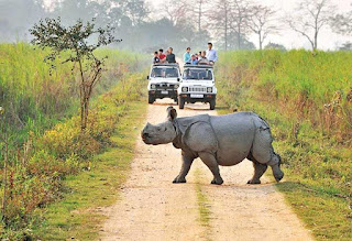 A Visit to Kaziranga and Sivasagar | Question Solutions A Visit to Kaziranga and Sivasagar Question Solutions