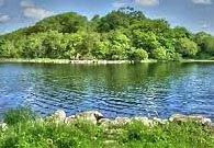 The Lake Isle of Innisfree | Question Solutions The Lake Isle of Innisfree Question Solutions