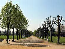 The Road Not Taken | Question Solutions The Road Not Taken Question Solutions