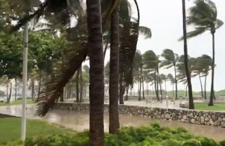 Weathering The Storm in Ersama | Question Solutions | Notes Weathering The Storm in Ersama Question Solutions Notes