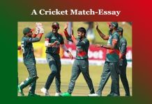 A Cricket Match-Essay A Cricket Match-Essay