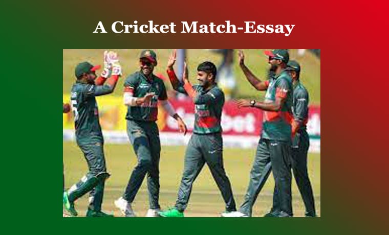 A Cricket Match-Essay 1 A Cricket Match-Essay