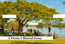 A Picnic I Shared Essay A Picnic I Shared Essay