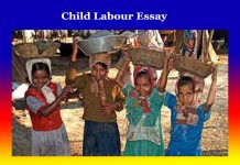 Child Labour Essay Child Labour Essay