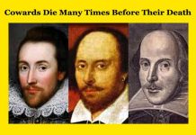 Cowards Die Many Times Before Their Death – Amplification Cowards Die Many Times Before Their Death - Amplification