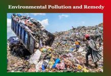 Environmental Pollution and Remedy Environmental Pollution and Remedy