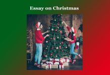 Essay on Christmas Essay on Christmas