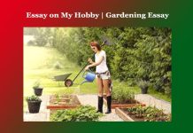 Essay on My Hobby | Gardening Essay Essay on My Hobby Gardening Essay