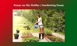 Essay on My Hobby | Gardening Essay 1 Essay on My Hobby Gardening Essay