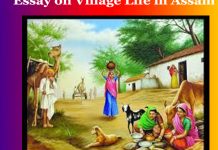 Essay on Village Life in Assam Essay on Village Life in Assam