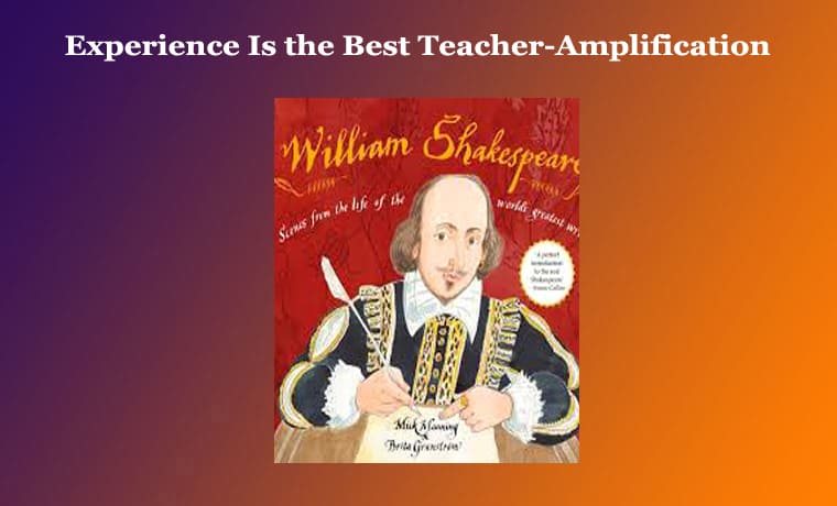 Experience Is the Best Teacher-Amplification 1 Experience Is the Best Teacher-Amplification
