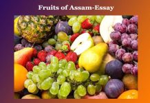 Fruits of Assam-Essay Fruits of Assam-Essay