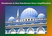 Handsome is that Handsome Does-Amplification Handsome is that Handsome Does-Amplification