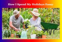 How I Spend My Holidays Essay How I Spend My Holidays Essay