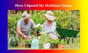 How I Spend My Holidays Essay 1 How I Spend My Holidays Essay