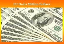 If I Had a Million Dollars
