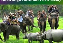 Kaziranga National Park-Essay Kaziranga National Park-Essay