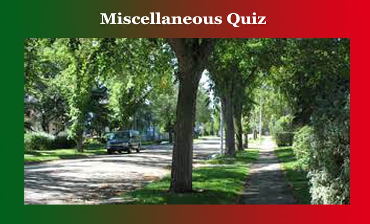 Miscellaneous Quiz 1 Miscellaneous Quiz