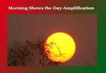 Morning Shows the Day-Amplification Morning Shows the Day-Amplification