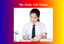 My Daily Life Essay My Daily Life Essay