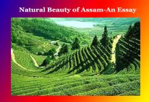 Natural Beauty of Assam-An Essay Natural Beauty of Assam-An Essay