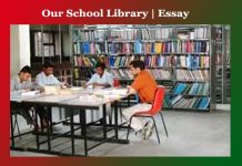 Our School Library | Essay Our School Library Essay