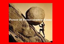 Power of Perseverance-Essay Power of Perseverance-Essay