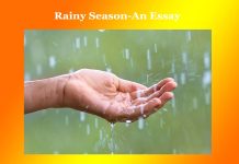 Rainy Season-An Essay Rainy Season-An Essay