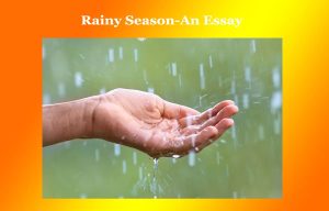 Rainy Season-An Essay 1 Rainy Season-An Essay