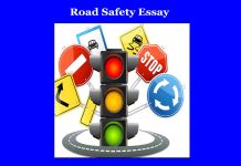 Road Safety Essay Road Safety Essay
