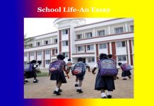 School Life-An Essay School Life-An Essay