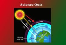 Science Quiz Science Quiz
