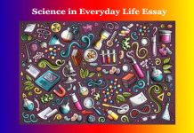 Science in Everyday Life Essay Science in Everyday Life Essay