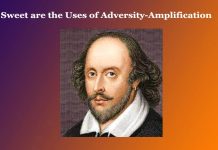Sweet are the Uses of Adversity-Amplification Sweet are the Uses of Adversity-Amplification