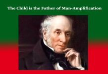 The child is the Father of Man-Amplification The child is the Father of Man-Amplification
