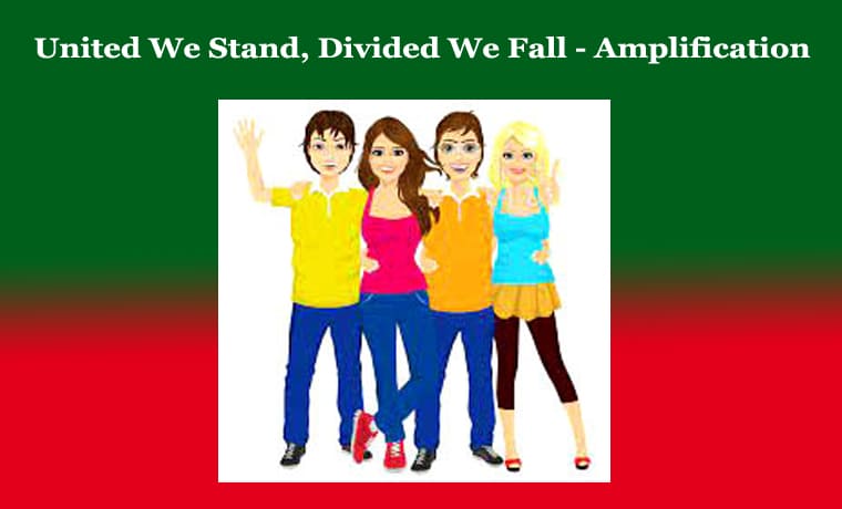 United We Stand, Divided We Fall - Amplification 1 United We Stand, Divided We Fall - Amplification