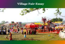 Village Fair-Essay Village Fair-Essay