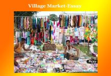 Village Market-Essay Village Market-Essay